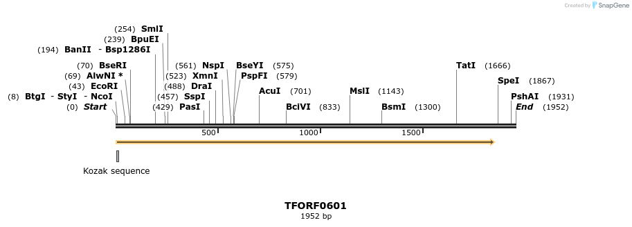 281822_map