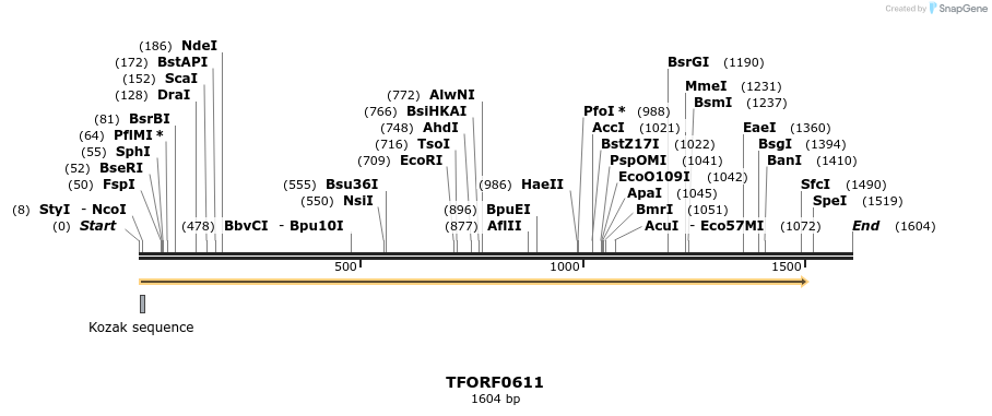 281828_map