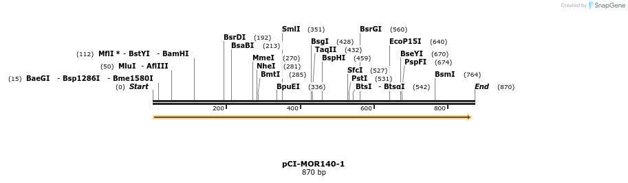 28183_map