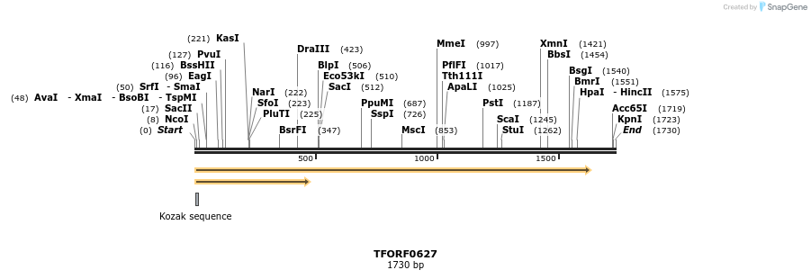 281831_map