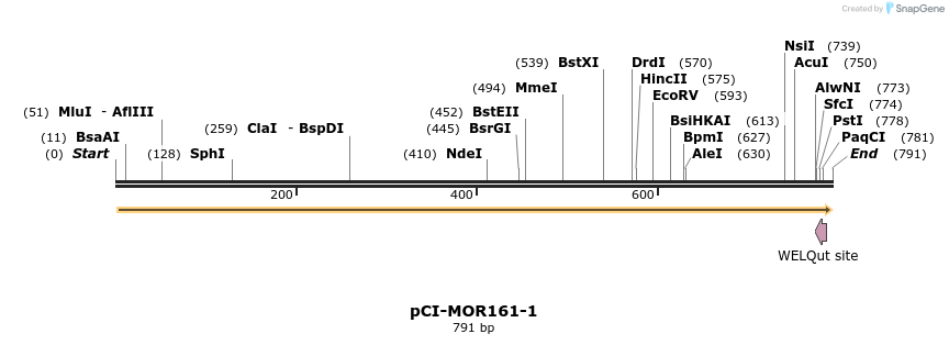 28184_map