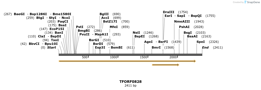281840_map