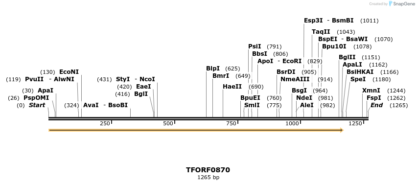 281843_map