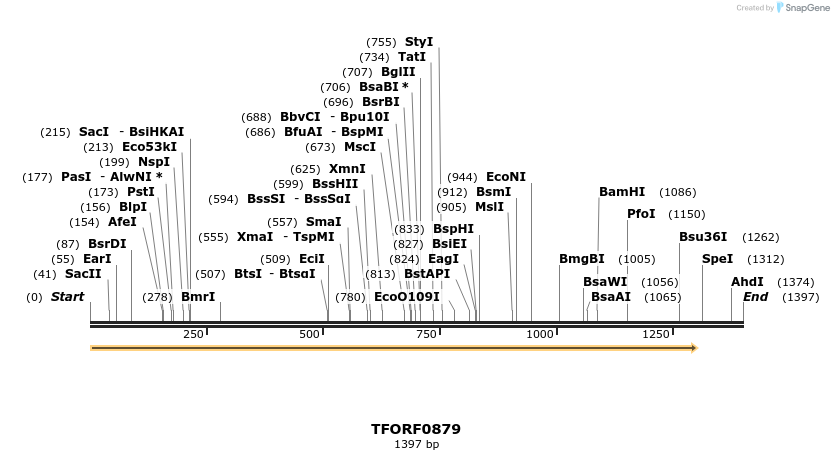 281846_map