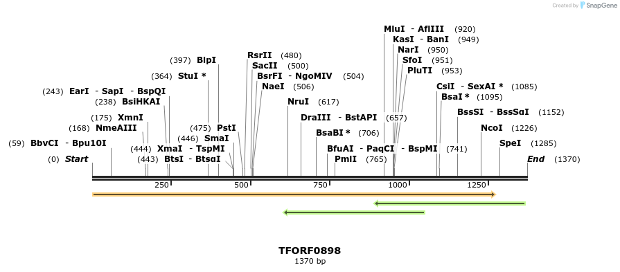 281849_map