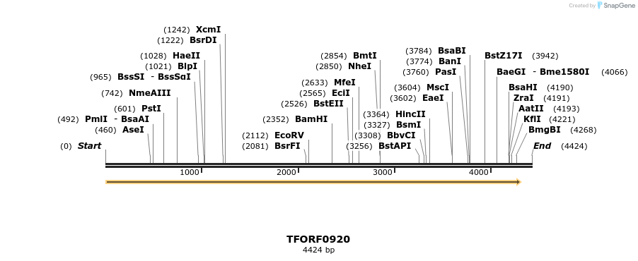 281855_map