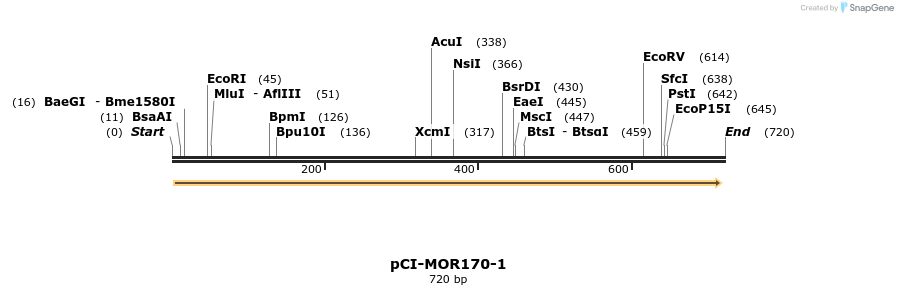 28186_map