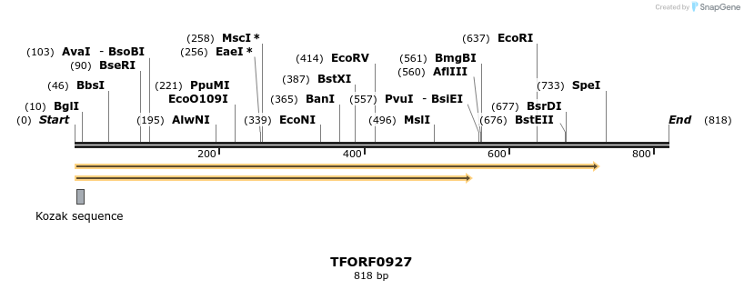 281861_map