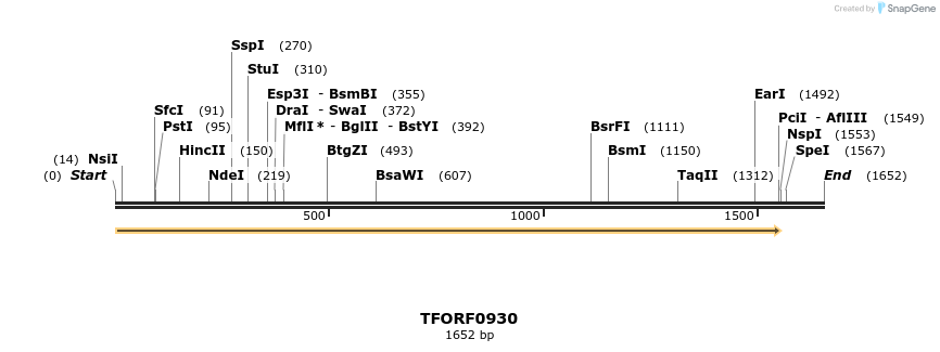281864_map