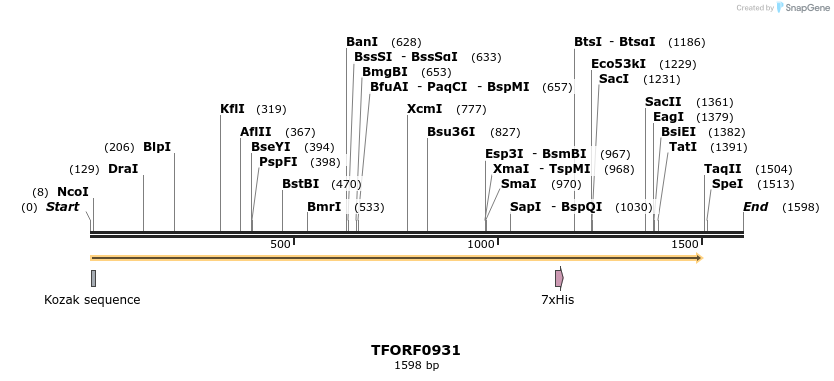 281867_map