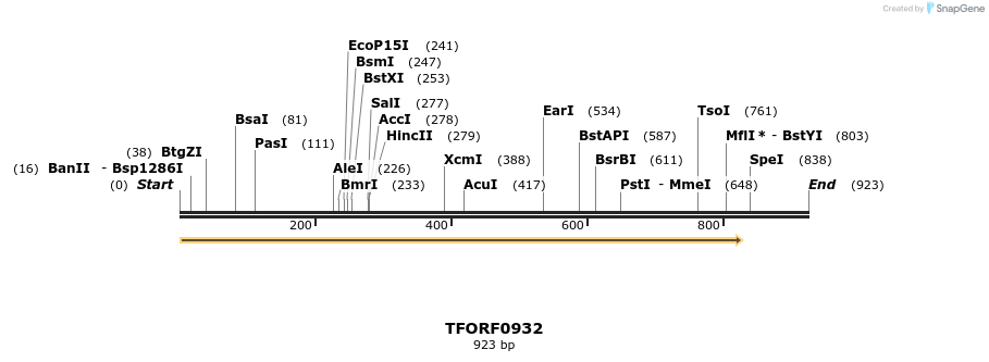 281870_map