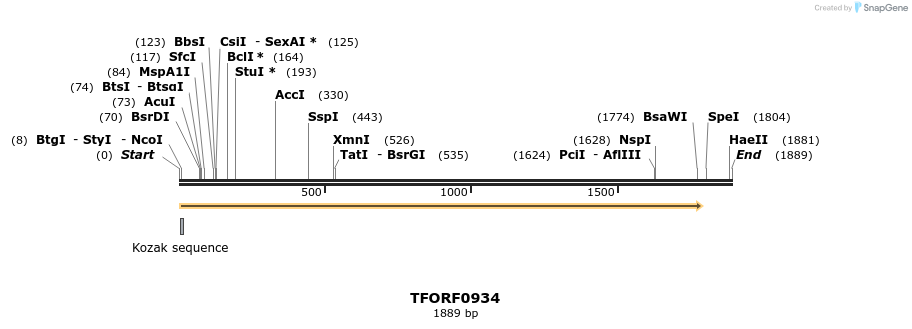 281873_map