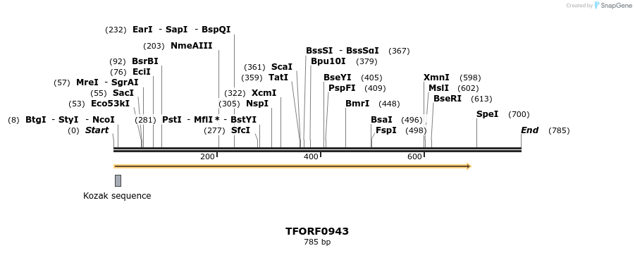 281876_map