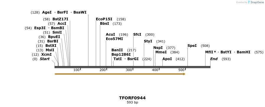 281879_map