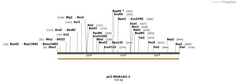 28188_map