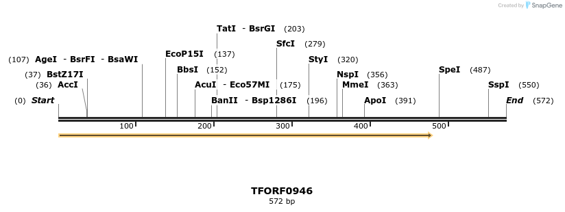 281882_map