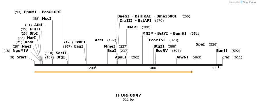 281885_map