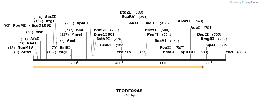 281888_map