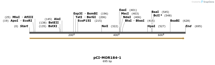 28189_map