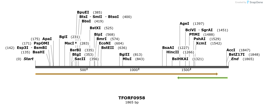 281891_map