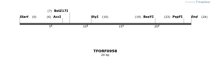 281892_map