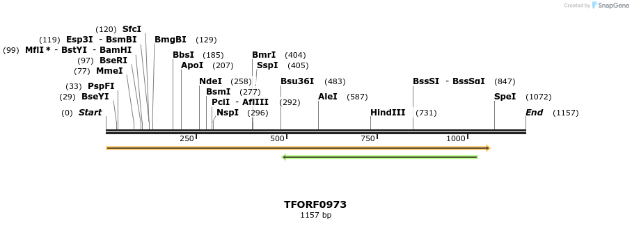 281894_map