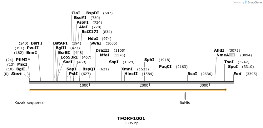 281897_map