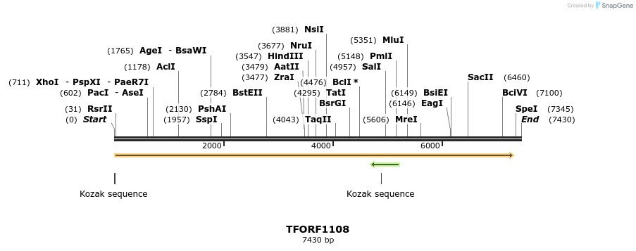 281900_map