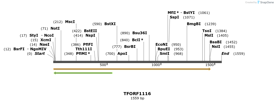 281903_map