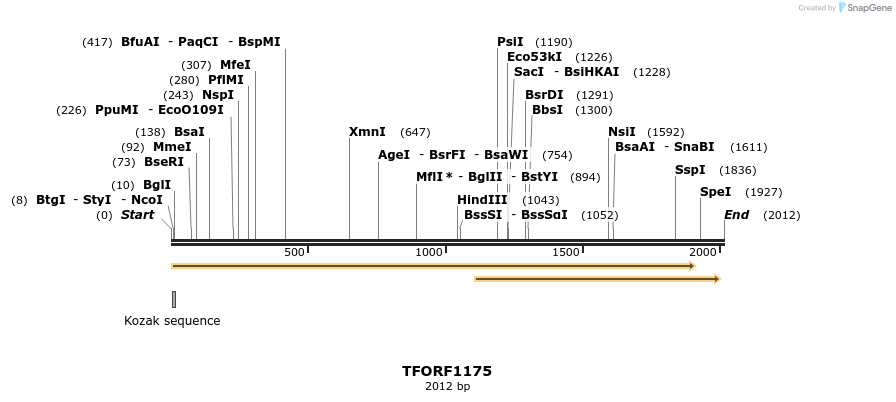 281906_map