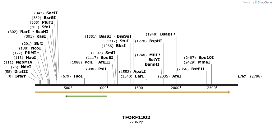 281909_map