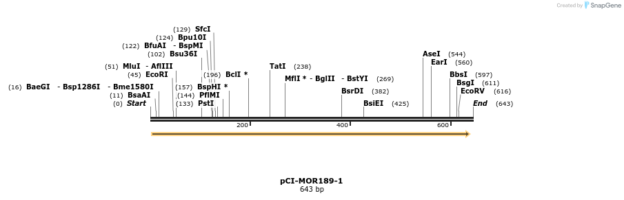 28191_map