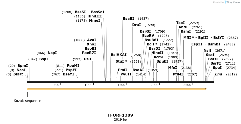281912_map