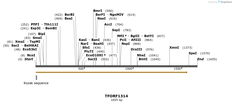 281915_map