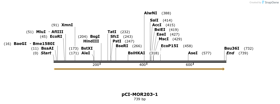 28192_map