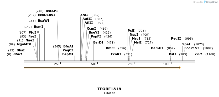 281921_map