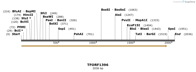 281924_map