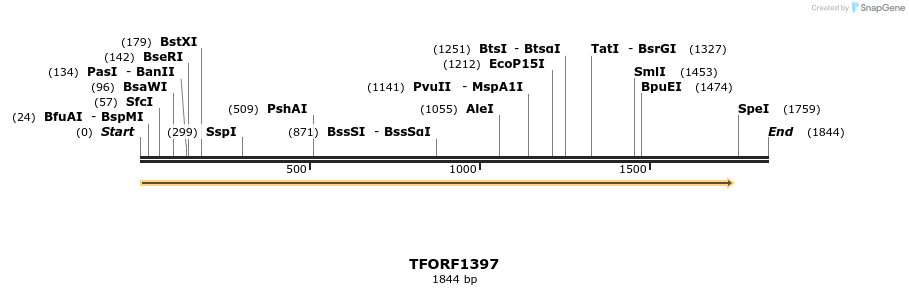 281927_map