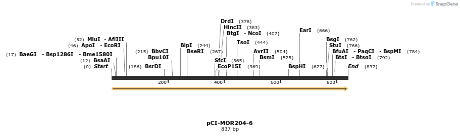 28193_map
