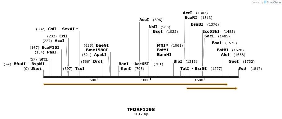281930_map