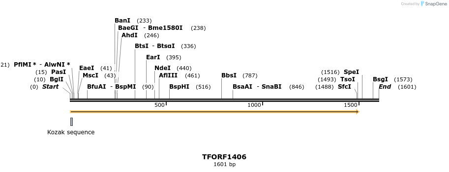 281933_map