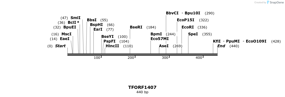 281936_map