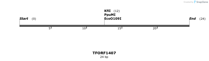 281937_map