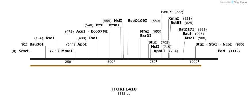 281939_map