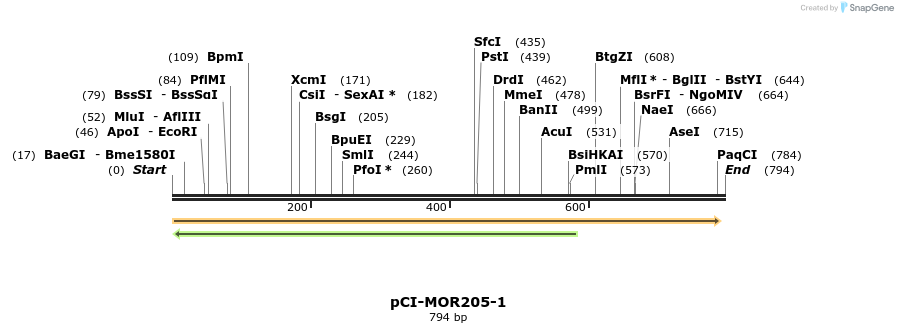28194_map