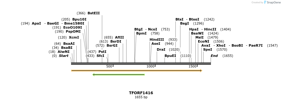 281942_map