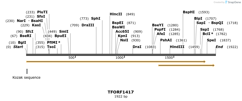 281945_map