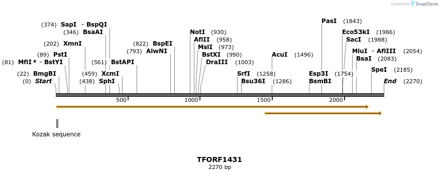 281951_map