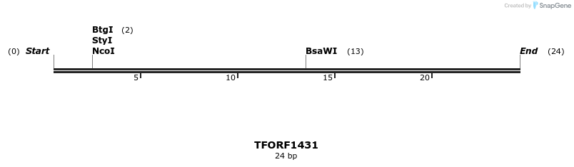 281952_map