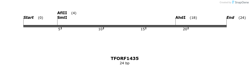 281955_map